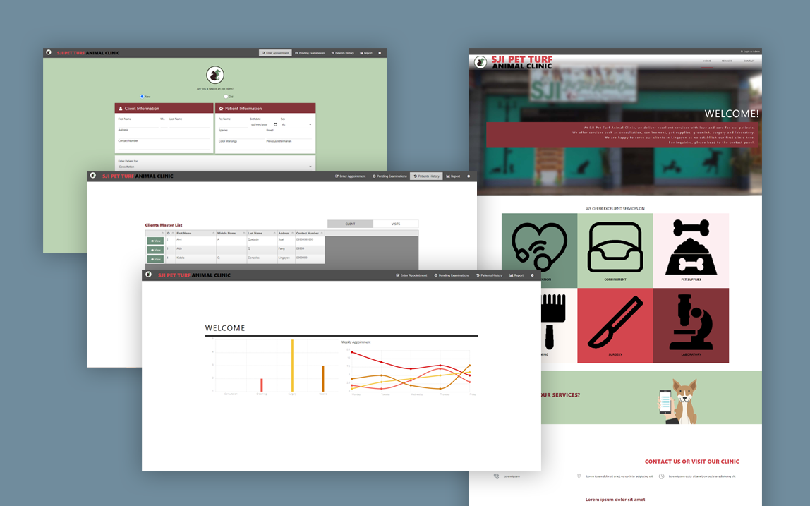 SJI Website